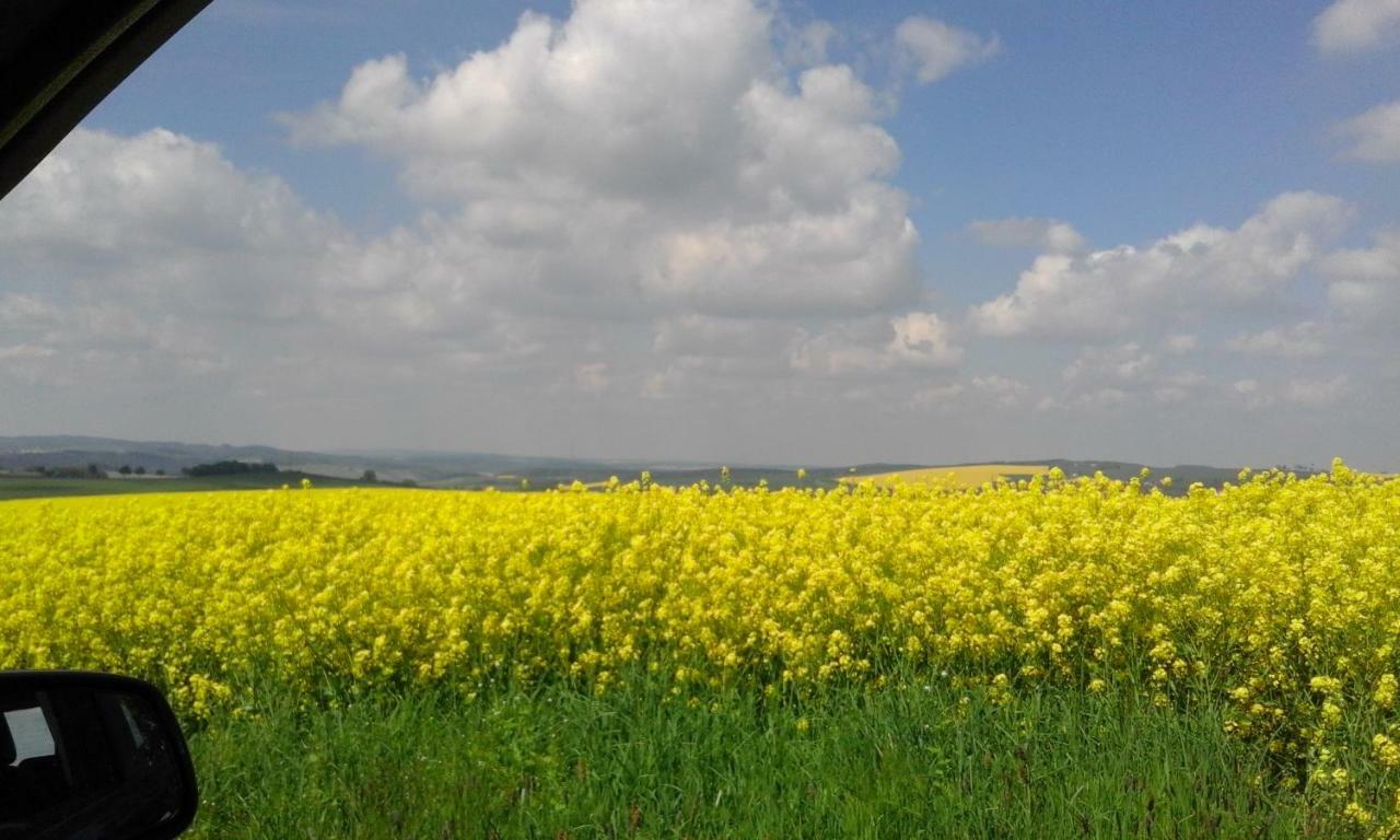 Seidelsferienparadiesgahlenz Dış mekan fotoğraf
